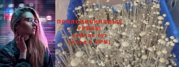 мяу мяу мука Куйбышев